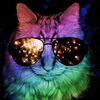 mightykat